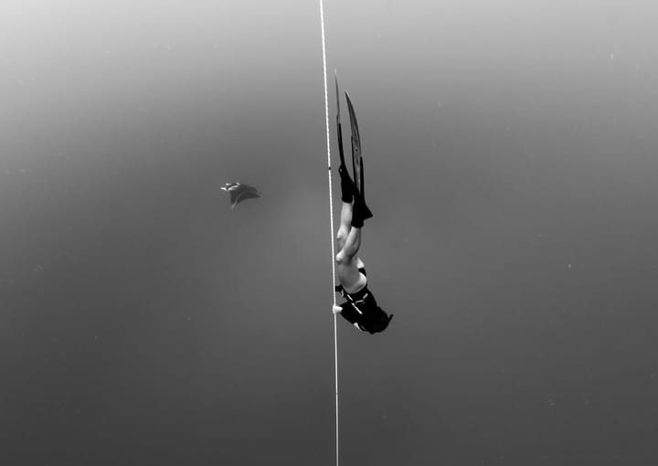 Freediving